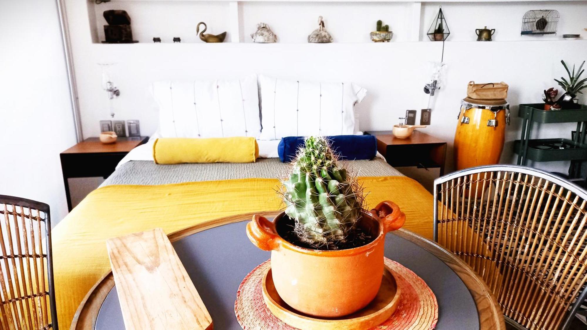 מקסיקו סיטי Loft Remedios - Penthouse Cdmx - Areas Comunes Compartidas מראה חיצוני תמונה